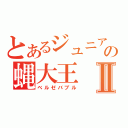 とあるジュニアの蝿大王Ⅱ（ベルゼバブル）