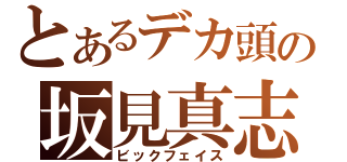 とあるデカ頭の坂見真志（ビックフェイス）