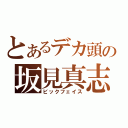 とあるデカ頭の坂見真志（ビックフェイス）