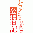 とあるエロリ菌の公開日記（プライベート）