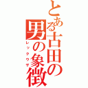 とある古田の男の象徴（レックウザ）