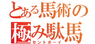 とある馬術の極み駄馬（セントボーイ）