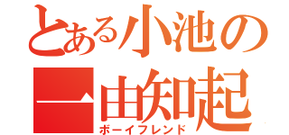 とある小池の一由知起（ボーイフレンド）