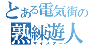 とある電気街の熟練遊人（マイスター）