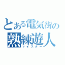 とある電気街の熟練遊人（マイスター）