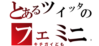 とあるツイッターのフェミニスト（キチガイども）