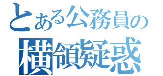 とある公務員の横領疑惑（）