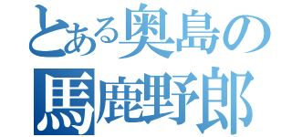 とある奥島の馬鹿野郎（）