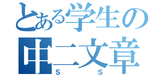 とある学生の中二文章（ＳＳ）