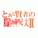 とある賢者の消滅呪文Ⅱ（メドローア）