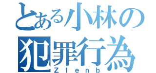 とある小林の犯罪行為（ＺＩｅｎｂ）