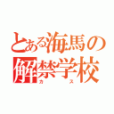 とある海馬の解禁学校（カス）