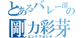 とあるバレー部の剛力彩芽（エンドウヨシキ）