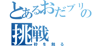 とあるおだブリのの挑戦（砂を触る）