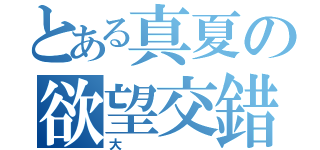 とある真夏の欲望交錯（大）