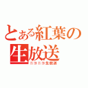 とある紅葉の生放送（ニコニコ生放送）