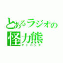 とあるラジオの怪力熊（セトパンダ）