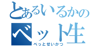 とあるいるかのベット生活（べっとせいかつ）