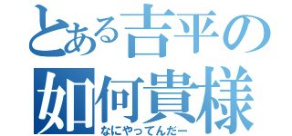 とある吉平の如何貴様（なにやってんだー）