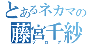 とあるネカマの藤宮千紗（ブログ）