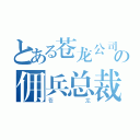 とある苍龙公司の佣兵总裁（苍龙）