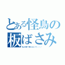 とある怪鳥の板ばさみ（私の事で争わないで／／／）