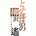 とある部活の柳沢　遙也（ビックボス）