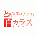 とあるエヴァの白カラス（量産型）