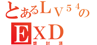 とあるＬＶ５４のＥＸＤ（想封頂）