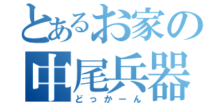 とあるお家の中尾兵器（どっかーん）