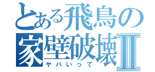 とある飛鳥の家壁破壊Ⅱ（ヤバいって）