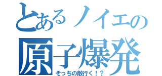 とあるノイエの原子爆発（そっちの敵行く！？）