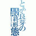 とある良芽の最終形態（エロサイト巡り）