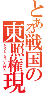 とある戦国の東照権現（とうしょうごんげん）