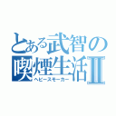 とある武智の喫煙生活Ⅱ（ヘビースモーカー）