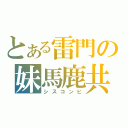 とある雷門の妹馬鹿共（シスコンビ）