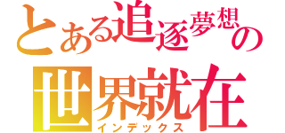 とある追逐夢想の世界就在我們腳下（インデックス）