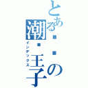 とある爱你の潮爱王子（インデックス）