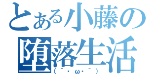 とある小藤の堕落生活（（´・ω・｀））