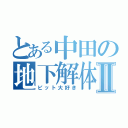 とある中田の地下解体Ⅱ（ピット大好き）