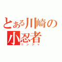 とある川崎の小忍者（ニンジャ）