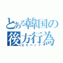 とある韓国の後方行為（立ちバック）