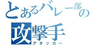 とあるバレー部の攻撃手（アタッカー）