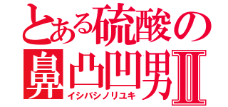 とある硫酸の鼻凸凹男Ⅱ（イシバシノリユキ）