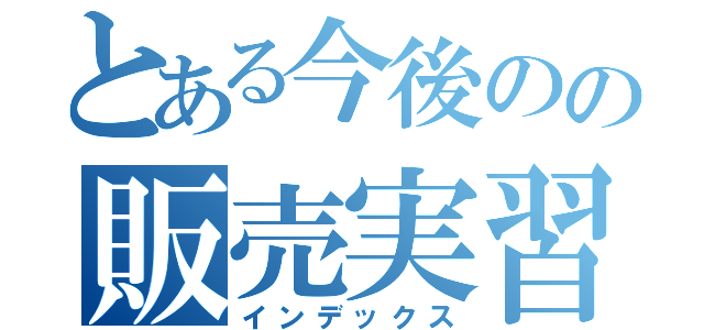 とある今後のの販売実習（インデックス）