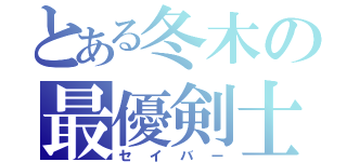 とある冬木の最優剣士（セイバー）