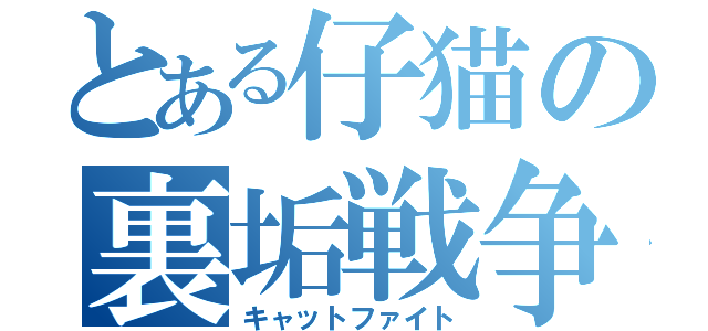 とある仔猫の裏垢戦争（キャットファイト）