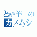 とある羊のカメムシ（抹茶）