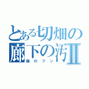 とある切畑の廊下の汚れⅡ（猫のフン）