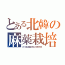 とある北韓の麻薬栽培（米？の為に麻薬を作るので食料不足）